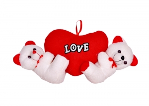 Manufacturers Exporters and Wholesale Suppliers of COUPLE BEAR Shahdara Delhi