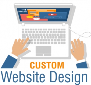 Service Provider of Custom Website Designing Services Delhi Delhi 