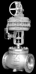 Manufacturers Exporters and Wholesale Suppliers of Cage control valve Ruian 