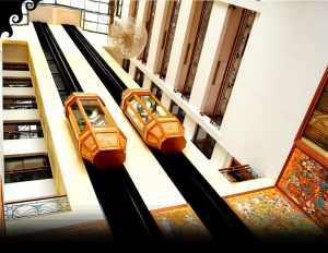Manufacturers Exporters and Wholesale Suppliers of Capsule Passenger Lifts Telangana Haryana