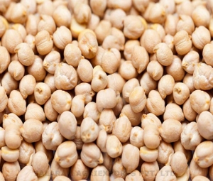 Manufacturers Exporters and Wholesale Suppliers of Chickpeas Mumbai Maharashtra