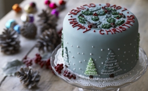 Manufacturers Exporters and Wholesale Suppliers of Christmas Cake New Delhi Delhi