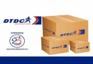 Service Provider of Courier Services-DTDC Jaipur Rajasthan 
