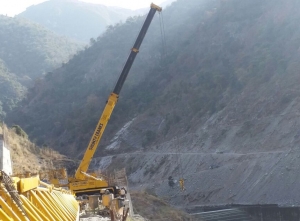 Service Provider of Cranes On Hire (10 Meters To 60 Meters) Ambala Haryana 