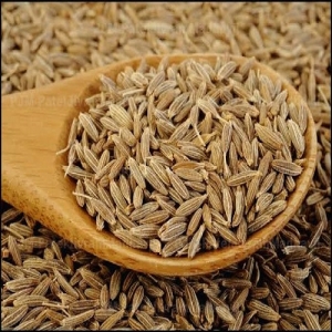 Manufacturers Exporters and Wholesale Suppliers of Cumin Mahuva Gujarat