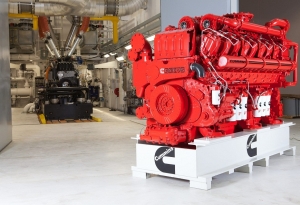 Service Provider of Cummins Engines Noida Uttar Pradesh 