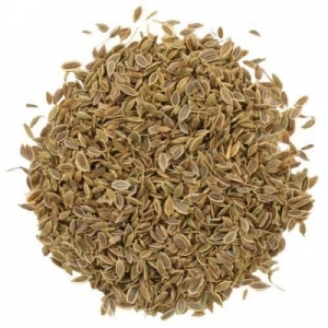 Manufacturers Exporters and Wholesale Suppliers of DILL SEEDS Vadodara Gujarat