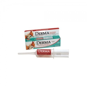 Manufacturers Exporters and Wholesale Suppliers of Derma Ointment Sangli Maharashtra
