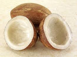 Manufacturers Exporters and Wholesale Suppliers of Dried Coconut Ahmedabad Gujarat
