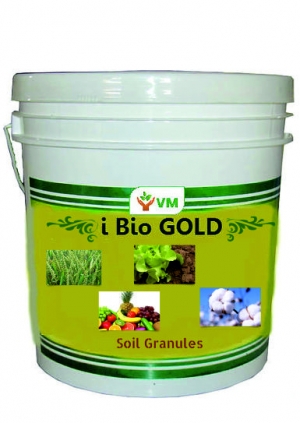 Manufacturers Exporters and Wholesale Suppliers of Zyme Granules (iBioGold) AHMEDABAD Gujarat