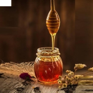 Manufacturers Exporters and Wholesale Suppliers of Eucalyptus Honey Gondia Maharashtra