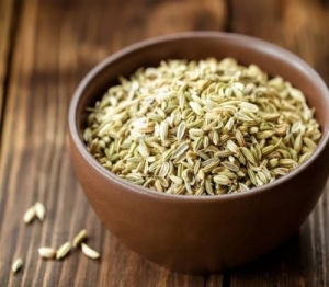 Manufacturers Exporters and Wholesale Suppliers of Fennel Seeds Gondia Maharashtra