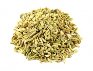 Manufacturers Exporters and Wholesale Suppliers of Fennel Seeds Ahmedabad Gujarat