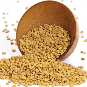 Manufacturers Exporters and Wholesale Suppliers of Fenugreek Seeds Mandsaur 