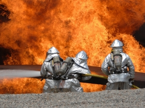 Fire And Safety Manpower