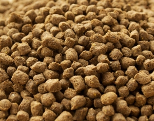 Manufacturers Exporters and Wholesale Suppliers of Fish Feed Nagpur Maharashtra