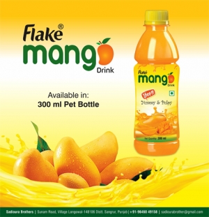 Manufacturers Exporters and Wholesale Suppliers of Flake Juices Gurgaon Haryana