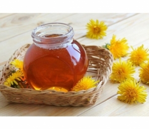 Manufacturers Exporters and Wholesale Suppliers of Forest Honey Gondia Maharashtra