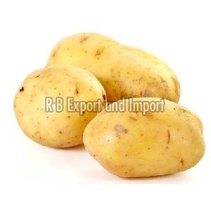 Manufacturers Exporters and Wholesale Suppliers of Fresh Brown Potato Kolkata West Bengal