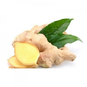 Manufacturers Exporters and Wholesale Suppliers of Fresh Ginger Tiruvallur Tamil Nadu