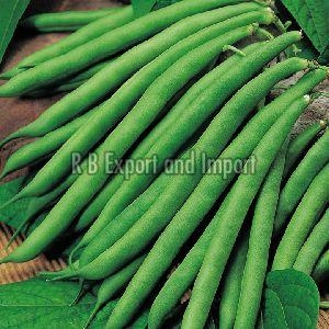 Manufacturers Exporters and Wholesale Suppliers of Fresh Green Beans Kolkata West Bengal
