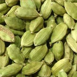 Manufacturers Exporters and Wholesale Suppliers of Fresh Green Cardamom Nagpur Maharashtra