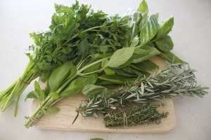 Manufacturers Exporters and Wholesale Suppliers of Fresh Herbs Mangalore Karnataka