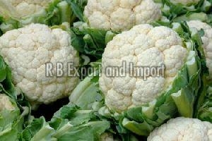 Manufacturers Exporters and Wholesale Suppliers of Fresh Natural Cauliflower Kolkata West Bengal