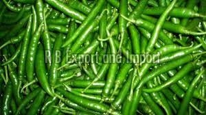 Manufacturers Exporters and Wholesale Suppliers of Fresh Natural Green Chilli Kolkata West Bengal