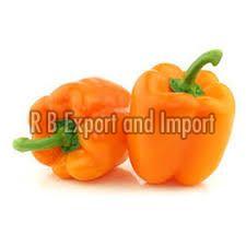 Manufacturers Exporters and Wholesale Suppliers of Fresh Orange Capsicum Kolkata West Bengal