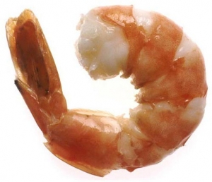 Manufacturers Exporters and Wholesale Suppliers of Frozen Shrimps Bangalore Karnataka