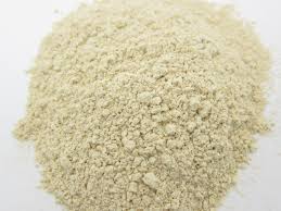 Manufacturers Exporters and Wholesale Suppliers of Garlic Powder Gandhinagar Gujarat