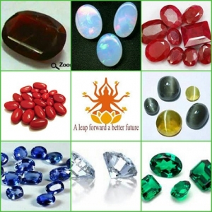 Manufacturers Exporters and Wholesale Suppliers of Gems Rohini Delhi