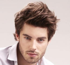 Manufacturers Exporters and Wholesale Suppliers of Gents Brown Hair Wig MUMBAI Maharashtra