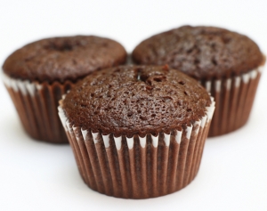 Manufacturers Exporters and Wholesale Suppliers of Gluten Free Chocolate Cake and Muffin Mix mumbai Maharashtra