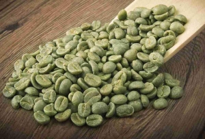 Manufacturers Exporters and Wholesale Suppliers of Green Coffee Beans Sunam Punjab