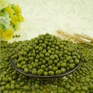 Manufacturers Exporters and Wholesale Suppliers of Green Gram Whole (Moong Beans) Gondia Maharashtra