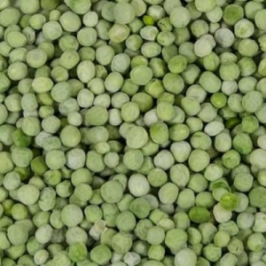 Manufacturers Exporters and Wholesale Suppliers of Green Pea Beans (Green Matar) Gondia Maharashtra