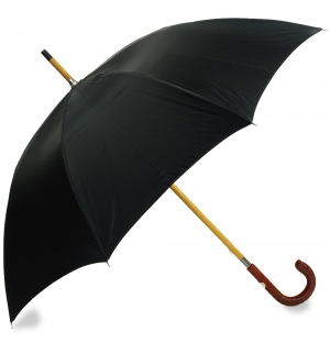 Manufacturers Exporters and Wholesale Suppliers of Hand Umbrella New Delhi Delhi