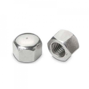 Manufacturers Exporters and Wholesale Suppliers of Hex Cap Nuts Mumbai Maharashtra