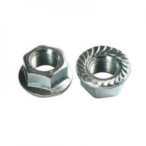 Manufacturers Exporters and Wholesale Suppliers of Hex Flange Nuts Mumbai Maharashtra