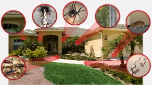 Service Provider of Household Pest Control Jaipur Rajasthan 