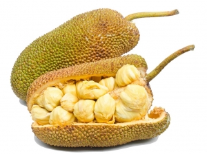 Manufacturers Exporters and Wholesale Suppliers of Jack Fruit KOCHI Kerala