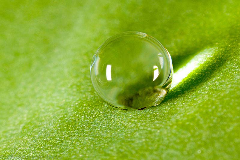 Manufacturers Exporters and Wholesale Suppliers of WR ( Water Repellant) hyderabad Andhra Pradesh