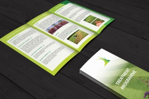 Manufacturers Exporters and Wholesale Suppliers of Leaflets Delhi Delhi