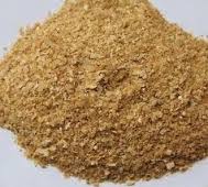 Manufacturers Exporters and Wholesale Suppliers of MAIZE ANIMAL FEED Nagpur Maharashtra