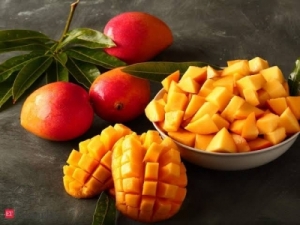 Manufacturers Exporters and Wholesale Suppliers of Mango Gondia Maharashtra