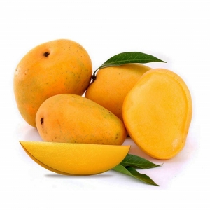 Manufacturers Exporters and Wholesale Suppliers of Mango New Delhi Delhi