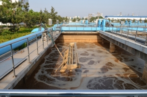 Manufacturers Exporters and Wholesale Suppliers of Biodegradation of Sewage Water using Beneficial Microbes mumbai Maharashtra
