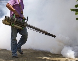 Service Provider of Mosquito Fogging Services Jaipur Rajasthan 